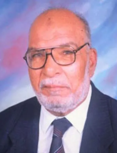 محمود أبو رية