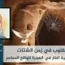 عمارة القلوب في زمن الشتات نحو استثمار معية الغار في الهجرة للواقع المعاصر