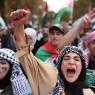 الحاضنة الشعبية بين طوفان الأقصى... والربيع العربي