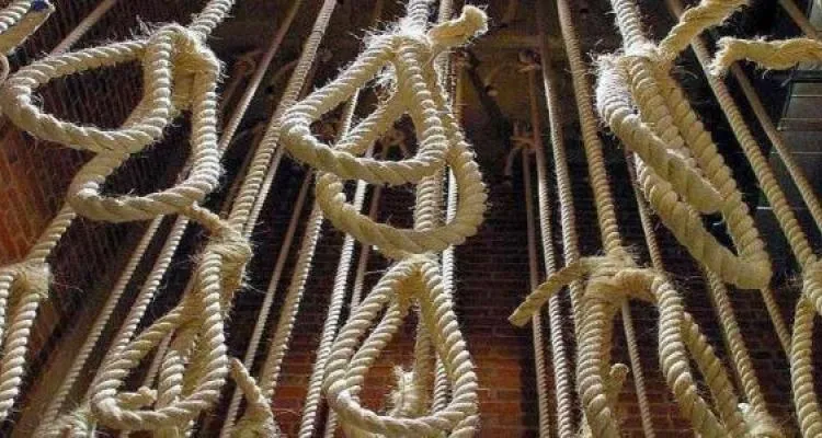 Muslim Brotherhood’s Statement on the Unjust Death Sentences Against 75 Political Prisoners of Its Members