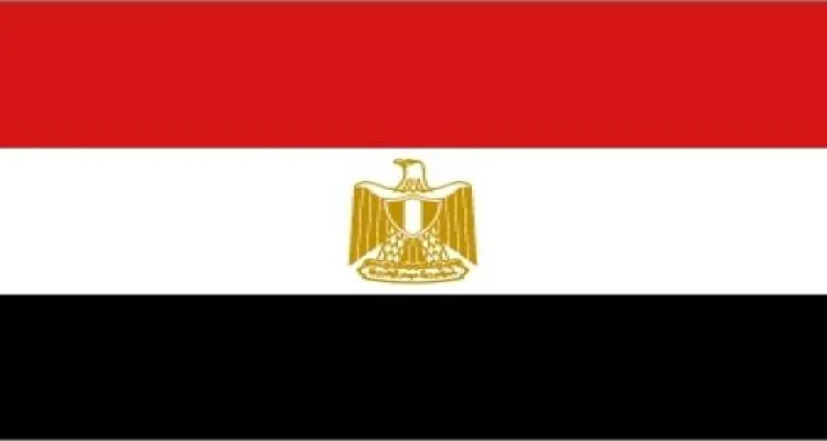 MB:  Egyptian National Security Can’t Be Bid On