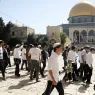 MB: Ben-Gvir’s Statements and the Storming of  Al-Aqsa Mosque Warns of Gravity of the Situation in Jerusalem
