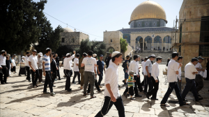 تصريحات بن غفير واقتحام المسجد الأقصى ينبّهان إلى خطورة الوضع في القدس