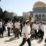 تصريحات بن غفير واقتحام المسجد الأقصى ينبّهان إلى خطورة الوضع في القدس